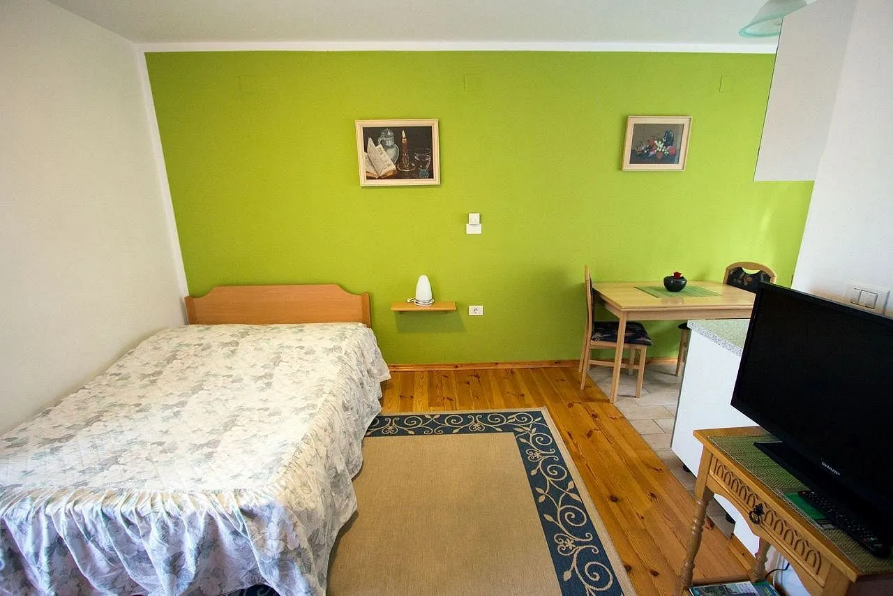 Zeleni apartma: postelja in televizor ob zeleni steni